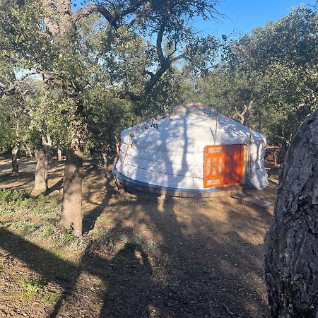 Au Soleil Mongol Acomodação com café da manhã Sorède Exterior foto