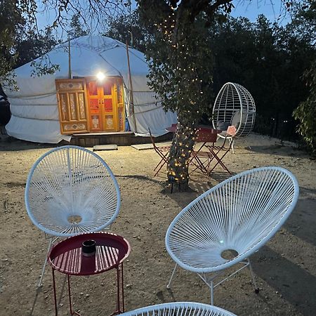 Au Soleil Mongol Acomodação com café da manhã Sorède Exterior foto