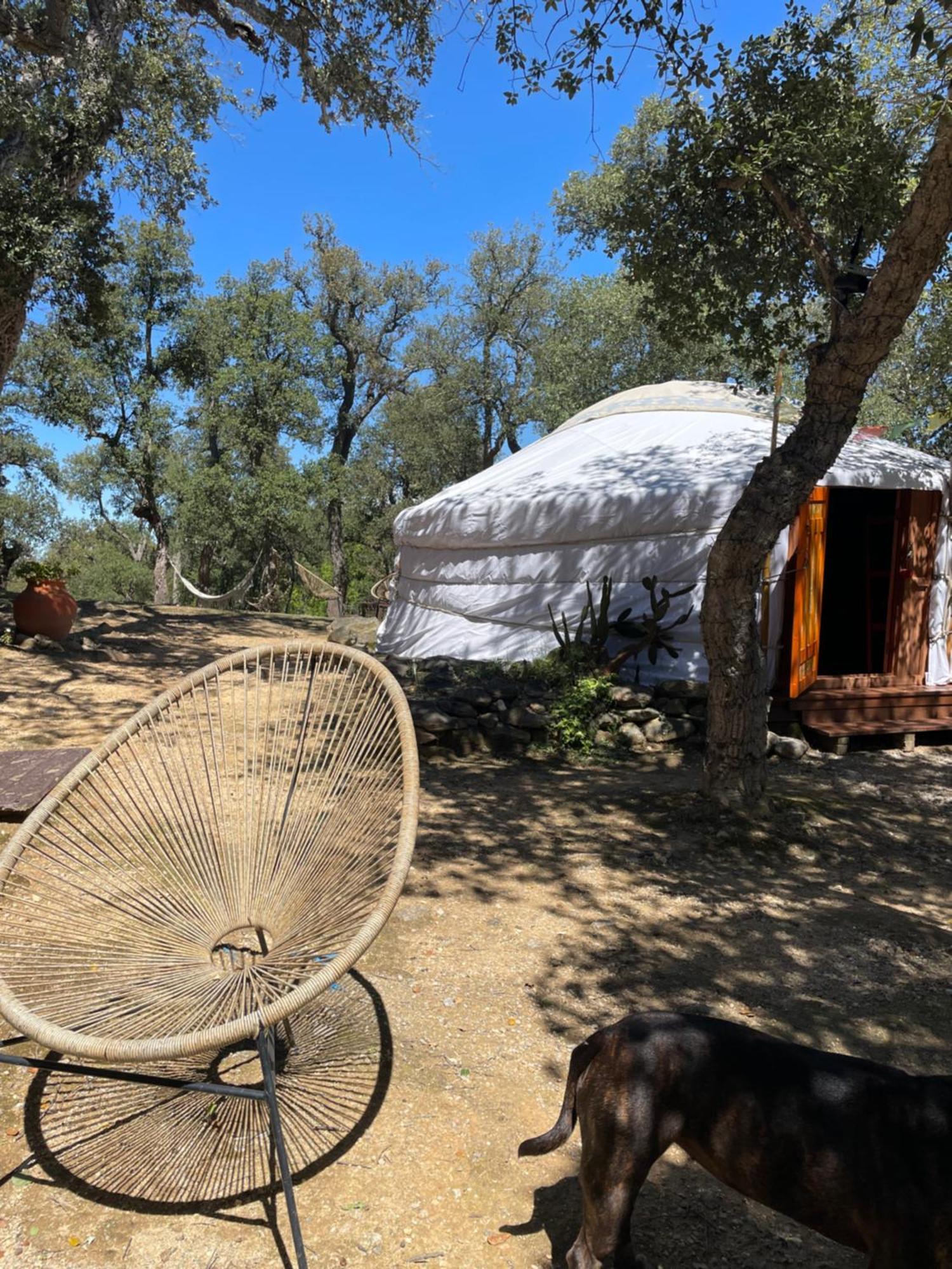 Au Soleil Mongol Acomodação com café da manhã Sorède Exterior foto