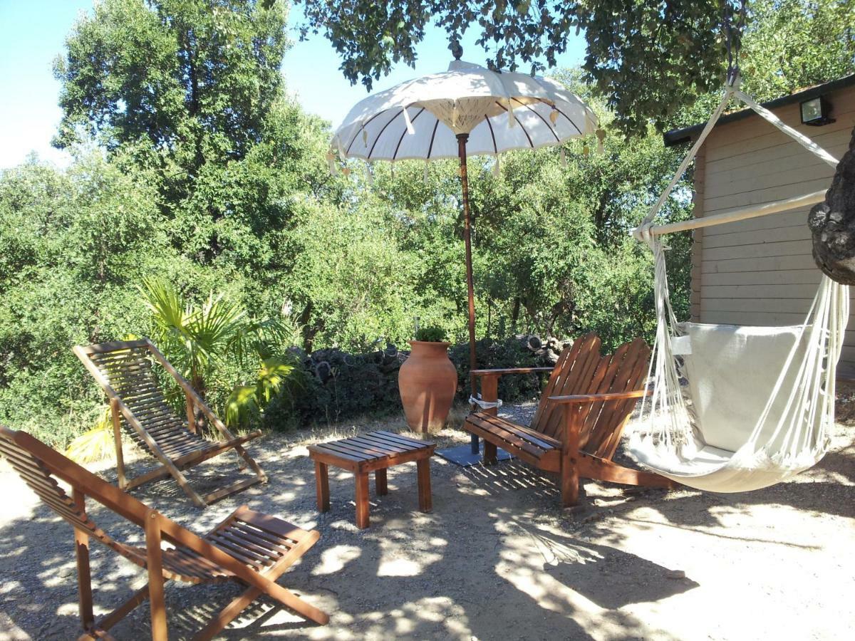 Au Soleil Mongol Acomodação com café da manhã Sorède Exterior foto